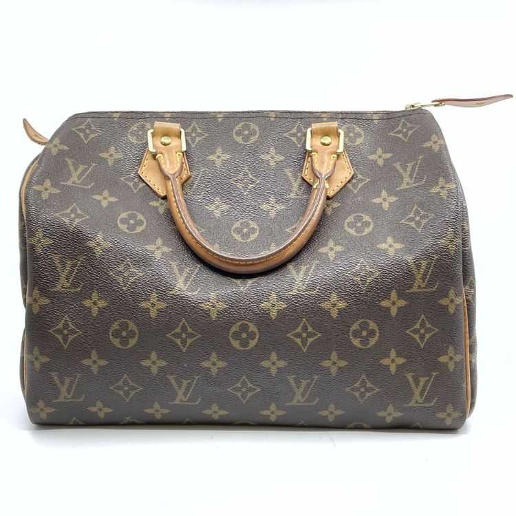 Sac Louis Vuitton