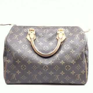 Sac Louis Vuitton