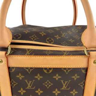 Sac Chien Louis Vuitton