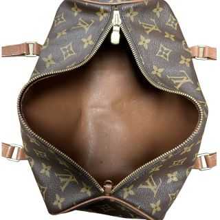 Sac Louis Vuitton