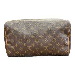 Sac Louis Vuitton