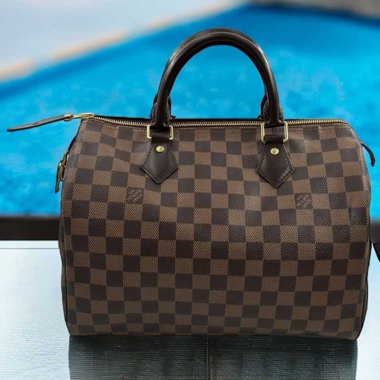 Sac Louis Vuitton