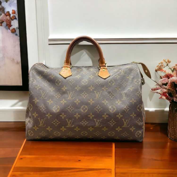 Sac Louis Vuitton