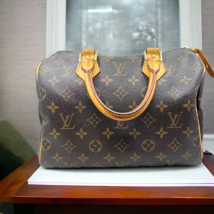 Sac Louis Vuitton