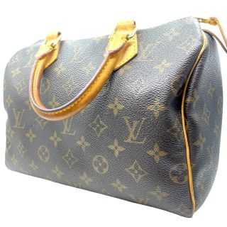 Sac Louis Vuitton