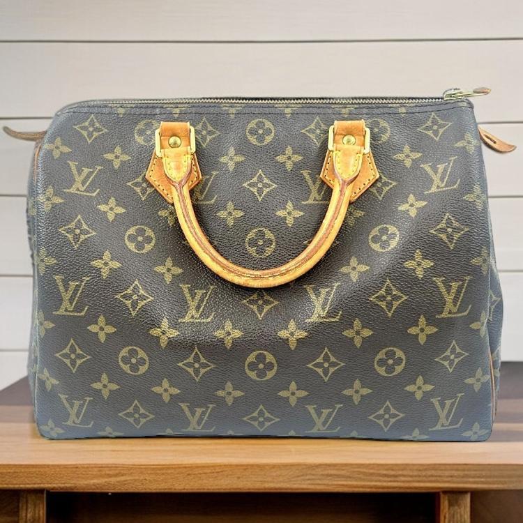 Sac a main Louis Vuitton