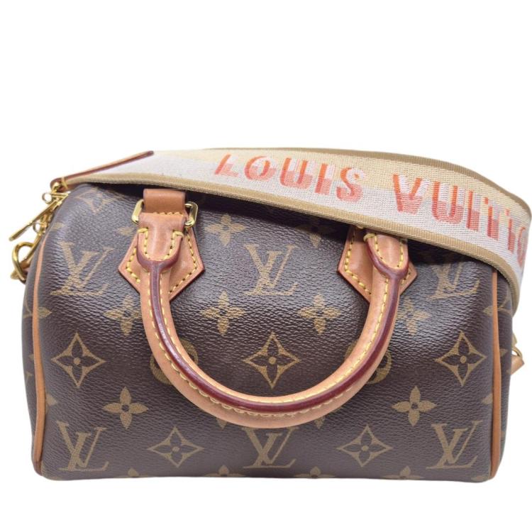 Sac Louis Vuitton