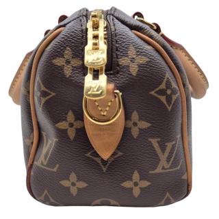 Sac Louis Vuitton