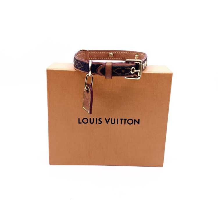 Louis Vuitton, Dog, Louis Vuitton Sac Chien 4 Lv Leash And Baxter Collar